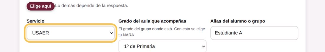 Captura de la app: Servicio